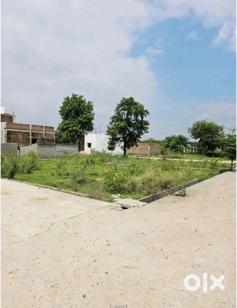 बिलासपुर मंगला में 1250₹ में प्लाट उपलब्ध