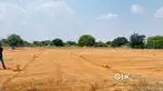A Piece of Land is More Then Gold