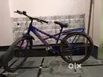 Hercules Bicycle