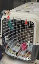 Dog travel crate/ cage
