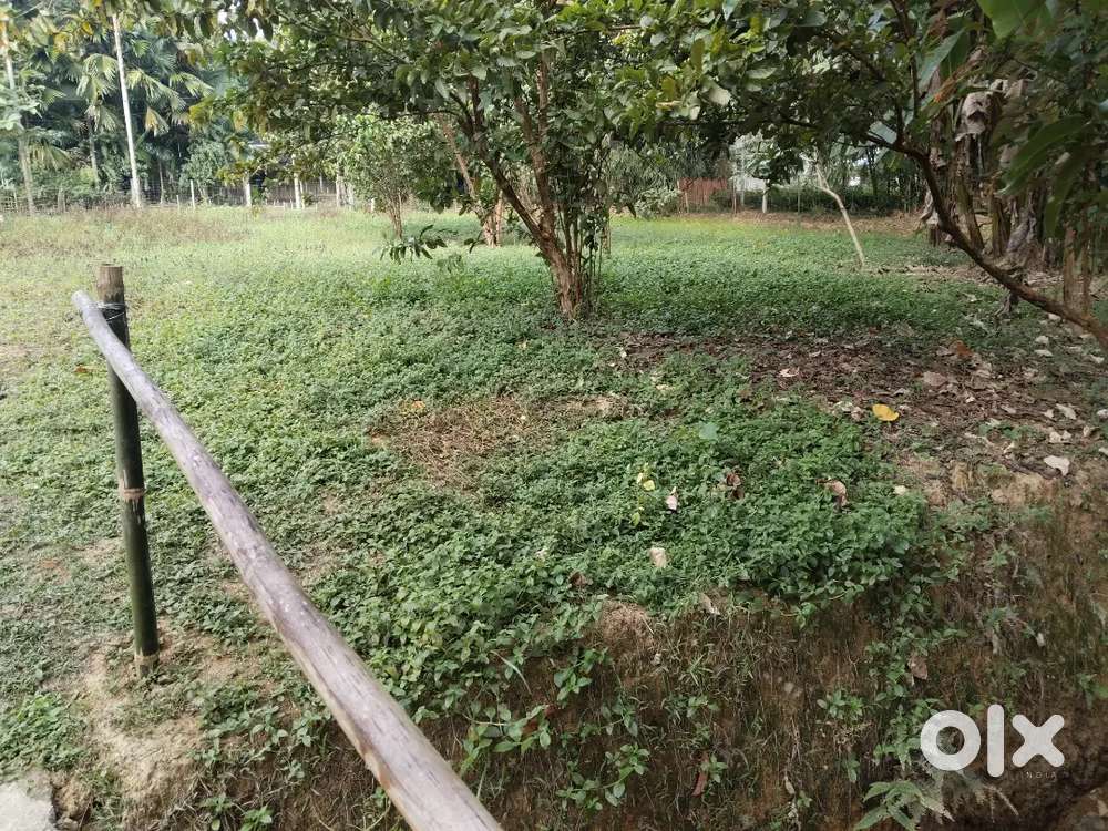 Per Katha 18 lakhs Land for sale in Rajapukhuri sonari