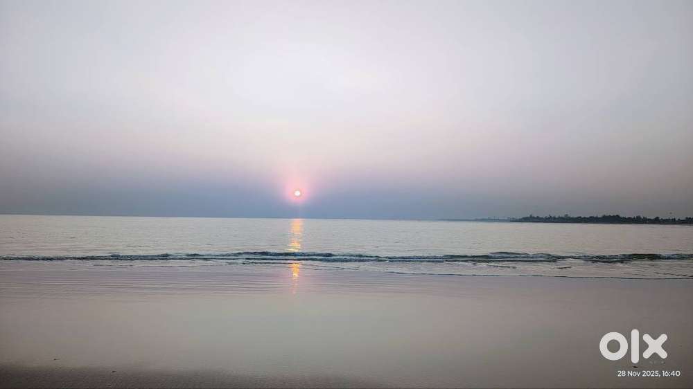 Social Media Manager