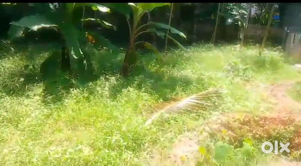 8 CENT LAND FOR SALE IN THIRUVANNUR