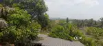 Want to buy plot