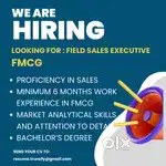 Field Sales Executive - FMCG