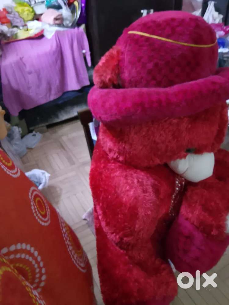 Teddy bear red colour