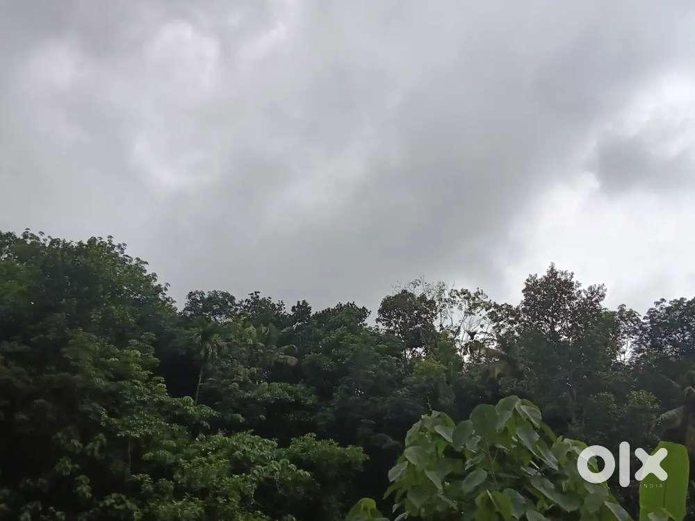 Plot for sale in venjaramoodu trivandrum