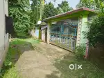 2 Bigha 10 Lessa Land and Assam Type House