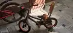 2 cycle girl or kids