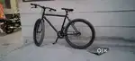 Polo cycle