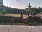 30 cents of land