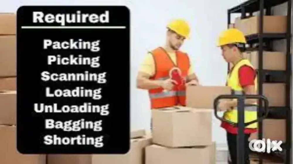 गोदाम में पैकिंग के लिये लड़के / लड़कियों की ज़रूरत है,