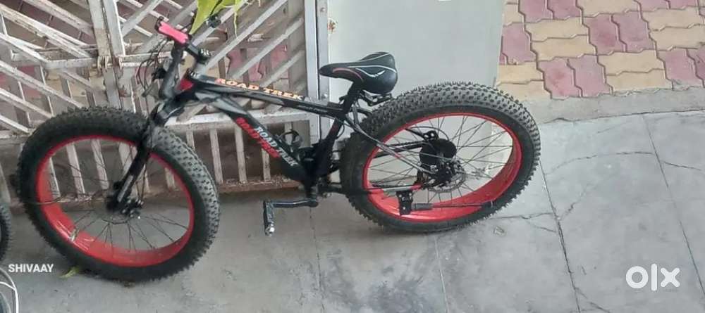 Fat Bike Cycle