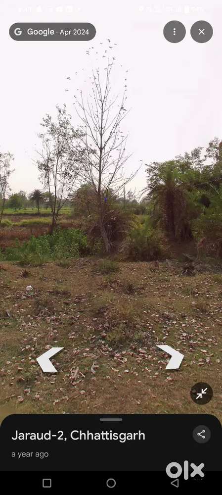 Agriculture land available for sell