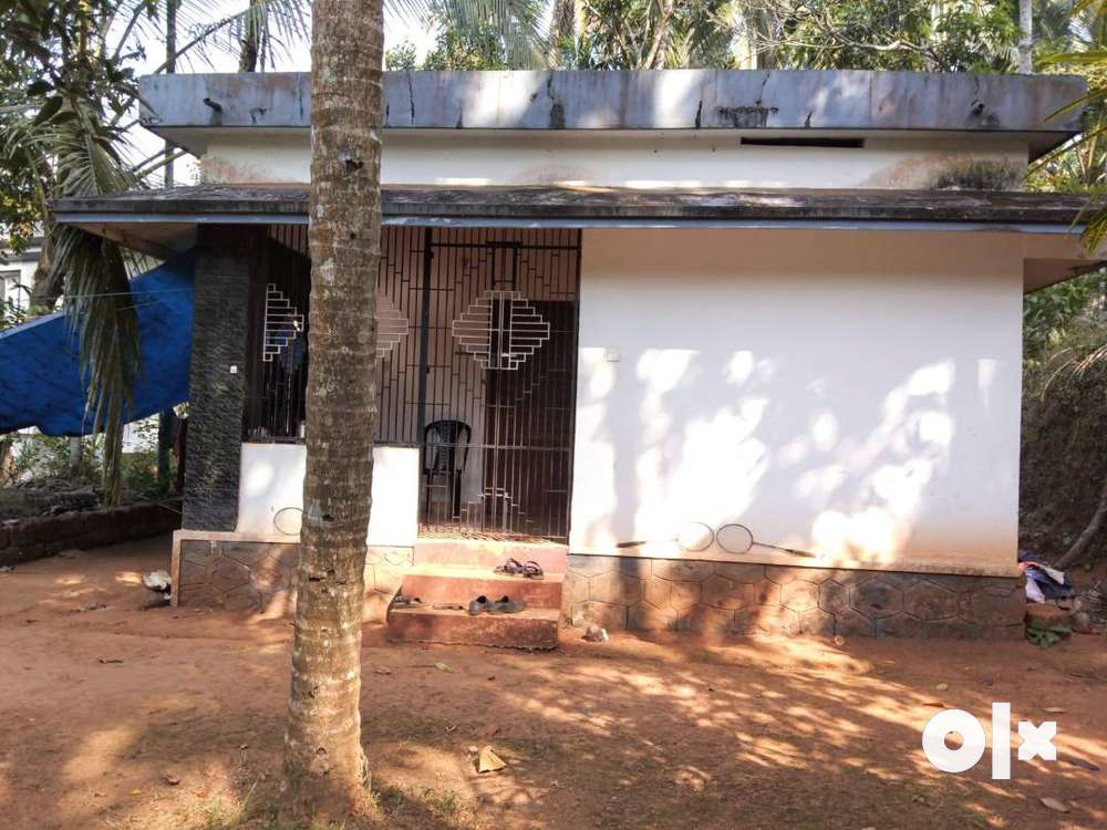 2 BHK house with 15 cent land for sale at Kavumthara, Nduvannur, Kozhi