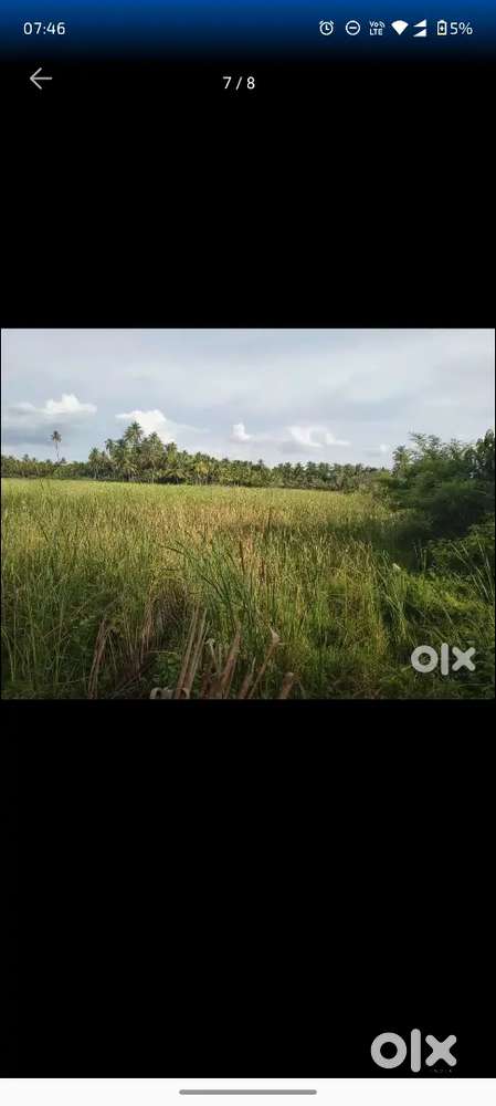 Prime Land for Sale near KRS Road, Belagola – 20 Gunta