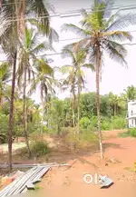 20 Cent plot for sale Near Eachur, Kannur