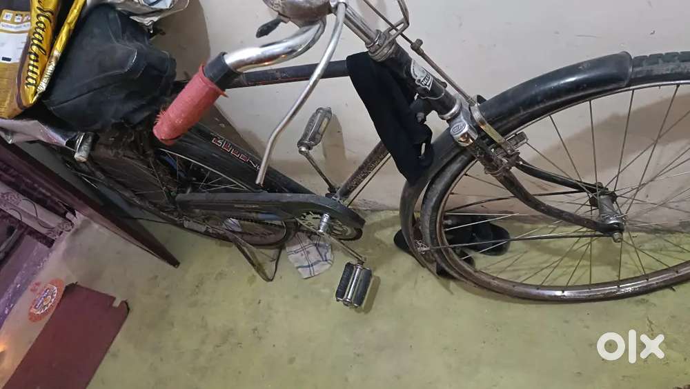 Nilam ki cycle