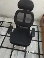 Reclining Study Chair
