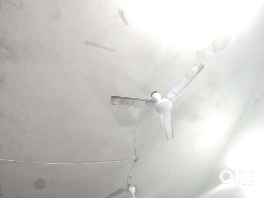 Flat near Arambol beach