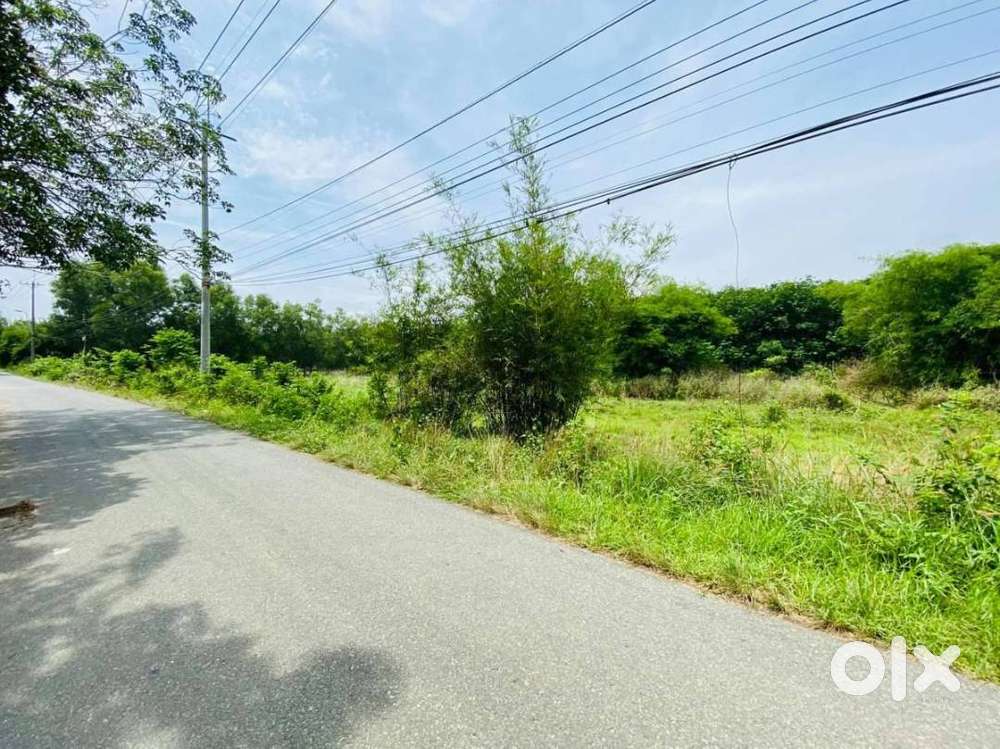 9Cent Commercial Land for Sale at Kannur Road, Calicut (NZ)