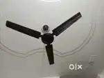 Cooler fan