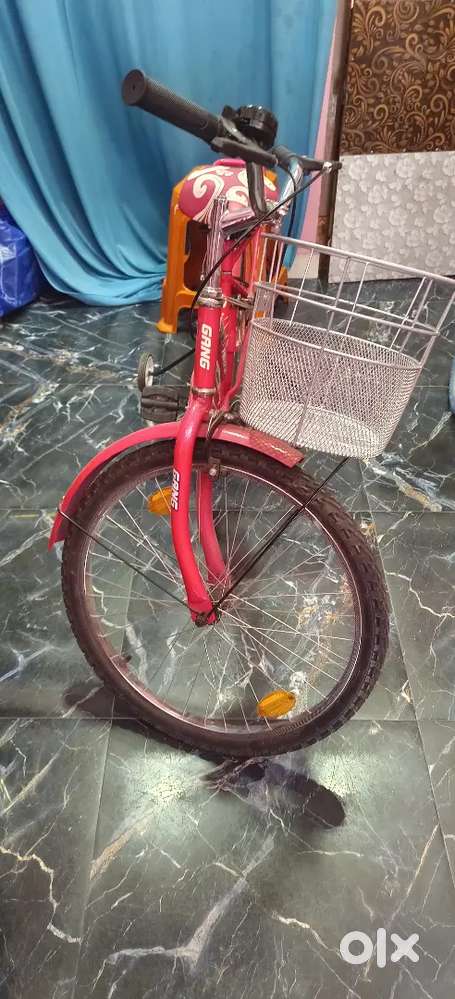 గ్యాంగ్ బ్రాండ్ లేడీస్ సైకిల్ 5500/- ఫైనల్ 5000/-