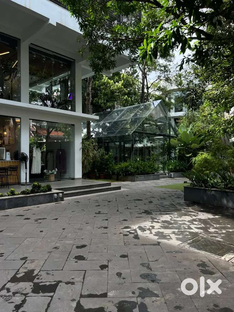 Tuition teacher for English and basic maths