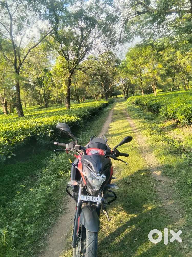 Bajaj ns160  Bs4 good condition