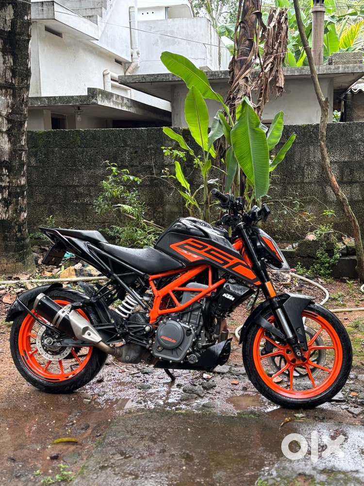2.	“Quick Deal! Duke 250 for Immediate Sale – Grab Fast!”