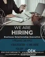 Business Relationship Executive