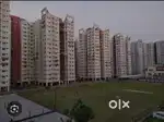 Newly and Clean 3bhk flat for rent