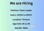 Team Leader