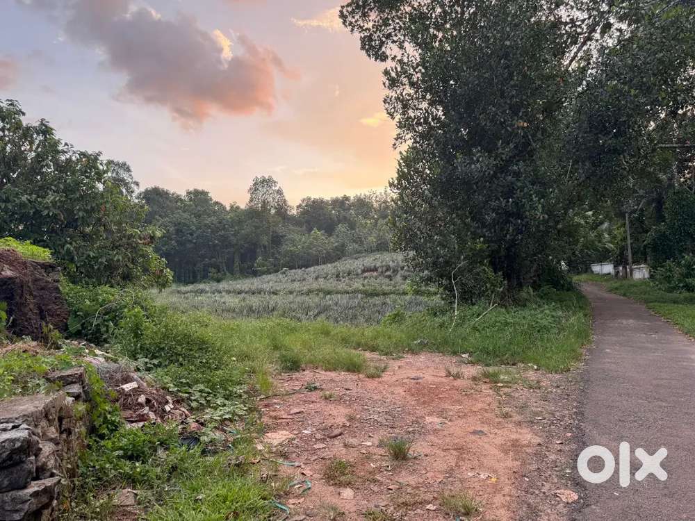 12 km from thodupuzha