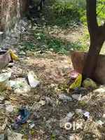 Pilot for sale in pathankot