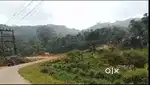 Idukki Adimali Near 13 AC Land with Cow farm for sale.