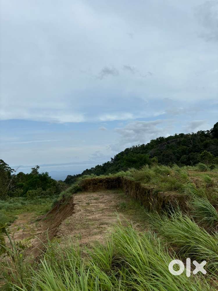 Plot for sale at wandoor palilunnu