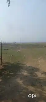 20 Lakh/bigha myadi patta mati sale kora hobo