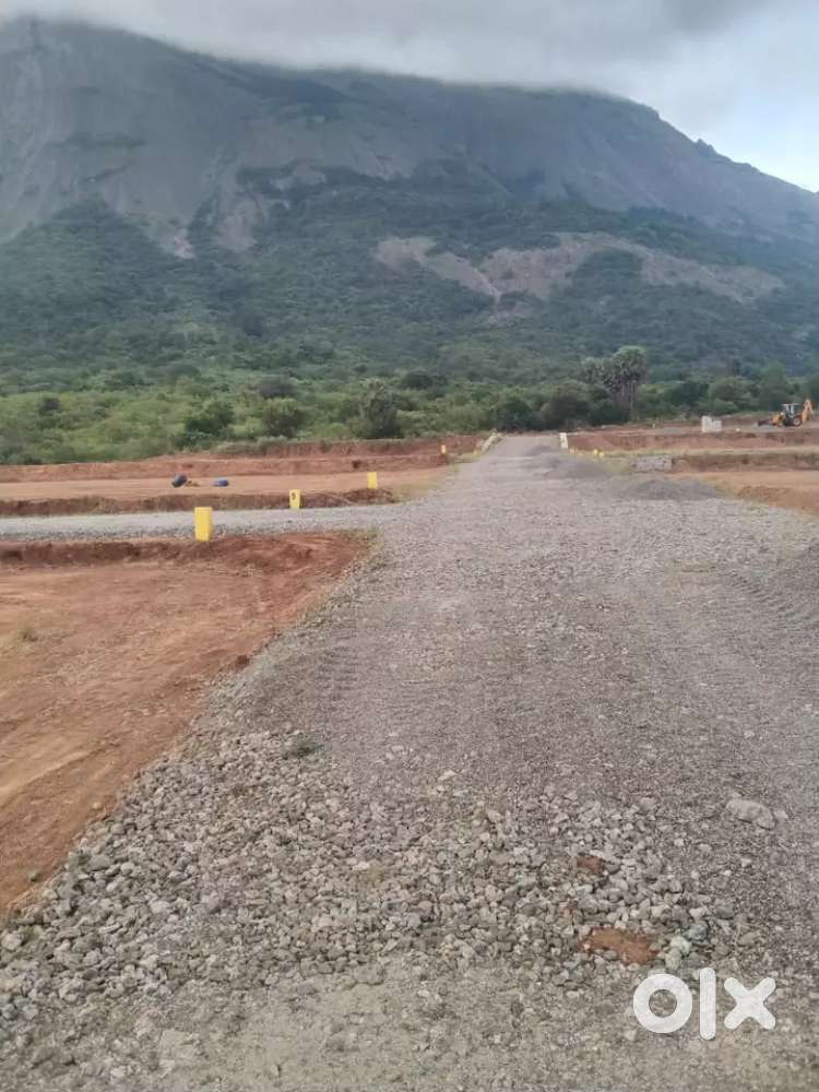 low budget investment for sale( farm land)