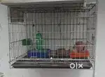 Verygood keige dog  cat