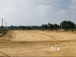 Best Location for Investment