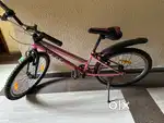 Frog cycle for kids