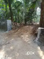 Plot for sale Vadakara Villiappally സ്ഥലം വില്പനക്ക്