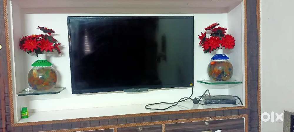 Videocon LED 43inch