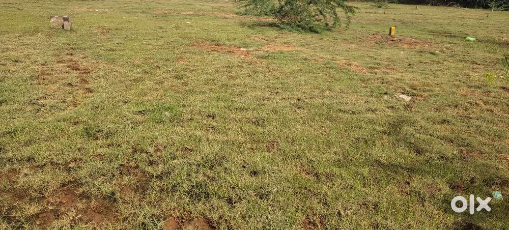 25 Ankanam plot with lowest investment