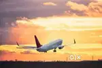 JOBS in indigo Airlines urgent hiring apply