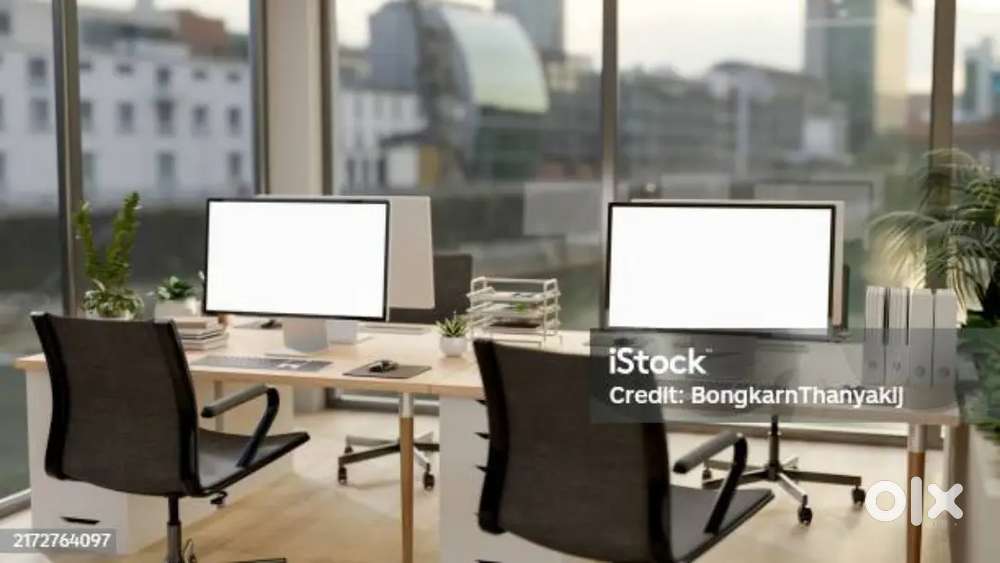 Offical work bussiness developer