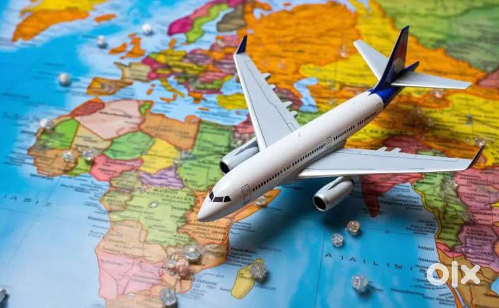 Need Business Developers for an Travel company