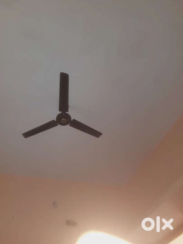 Need a girl roommate 1bhk room