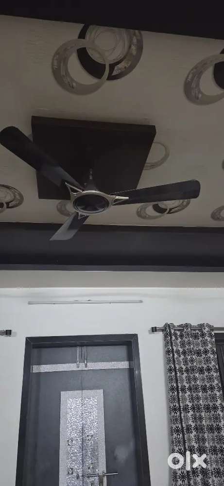 Ceiling Fan